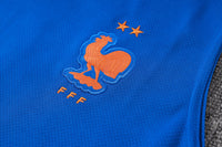 Conjunto de Entrenamiento Francia 26/27