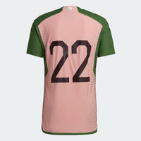 Camiseta Selección Japón x Nigo 2023 -