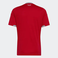 Camiseta Galés Home 26/27