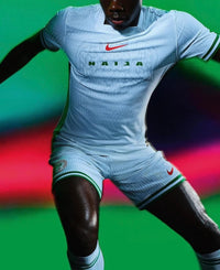 Camiseta Selección Nigéria II 24/25